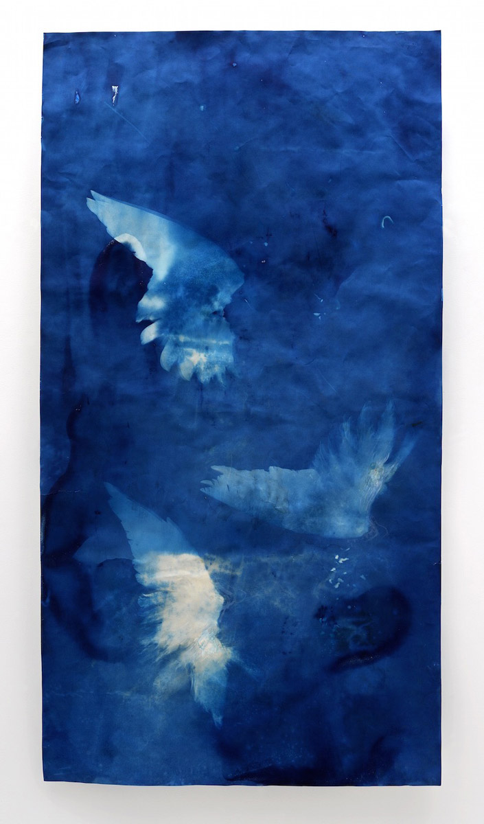 Ann Holsberry: Hover, 2014, Cyano Gouache 72 in. x 38 in.