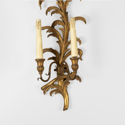 Pair of French Mid-20th Century Gilded Foliate-Form Two-Light Sconces.