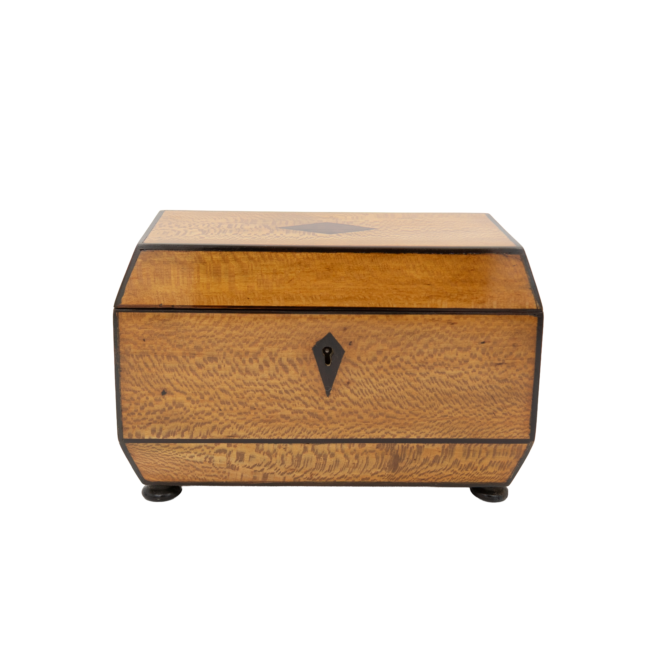 Early 19th century English lacewood box with campaign handles front view