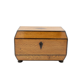 Early 19th Century Solid Lacewood Box with Campaign Handles