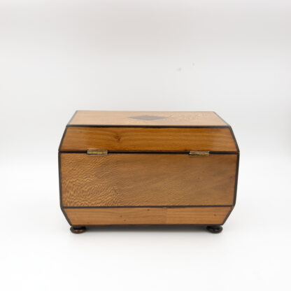 Early 19th Century Solid Lacewood Box with Campaign Handles