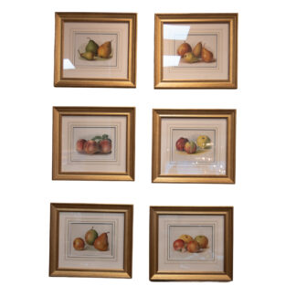 Set of Six Fruit Chromolithographs by May Rivers, English circa 1892