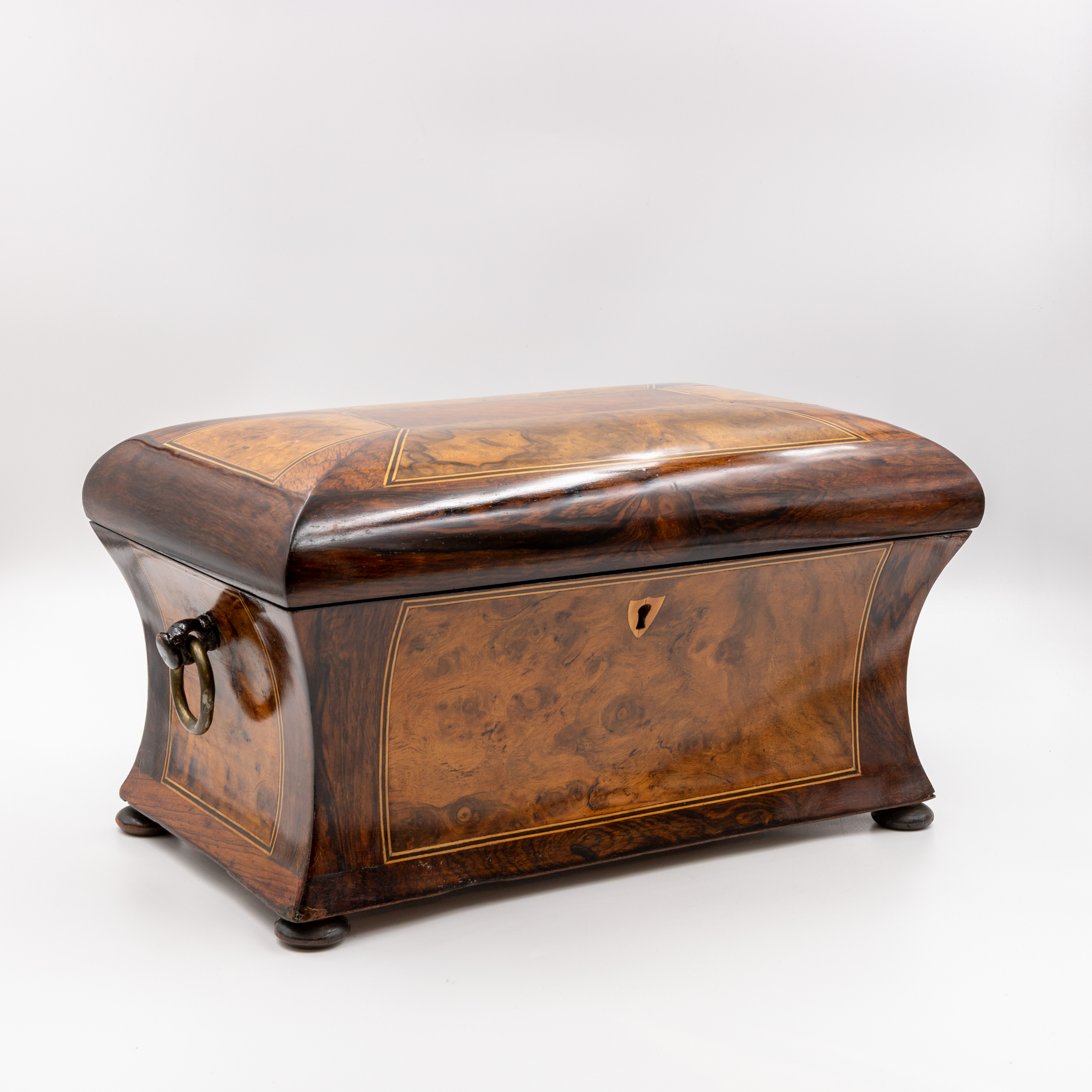 William IV dome top bombé box in burl walnut with coromandel crossbanding and boxwood stringing, front three-quarter view