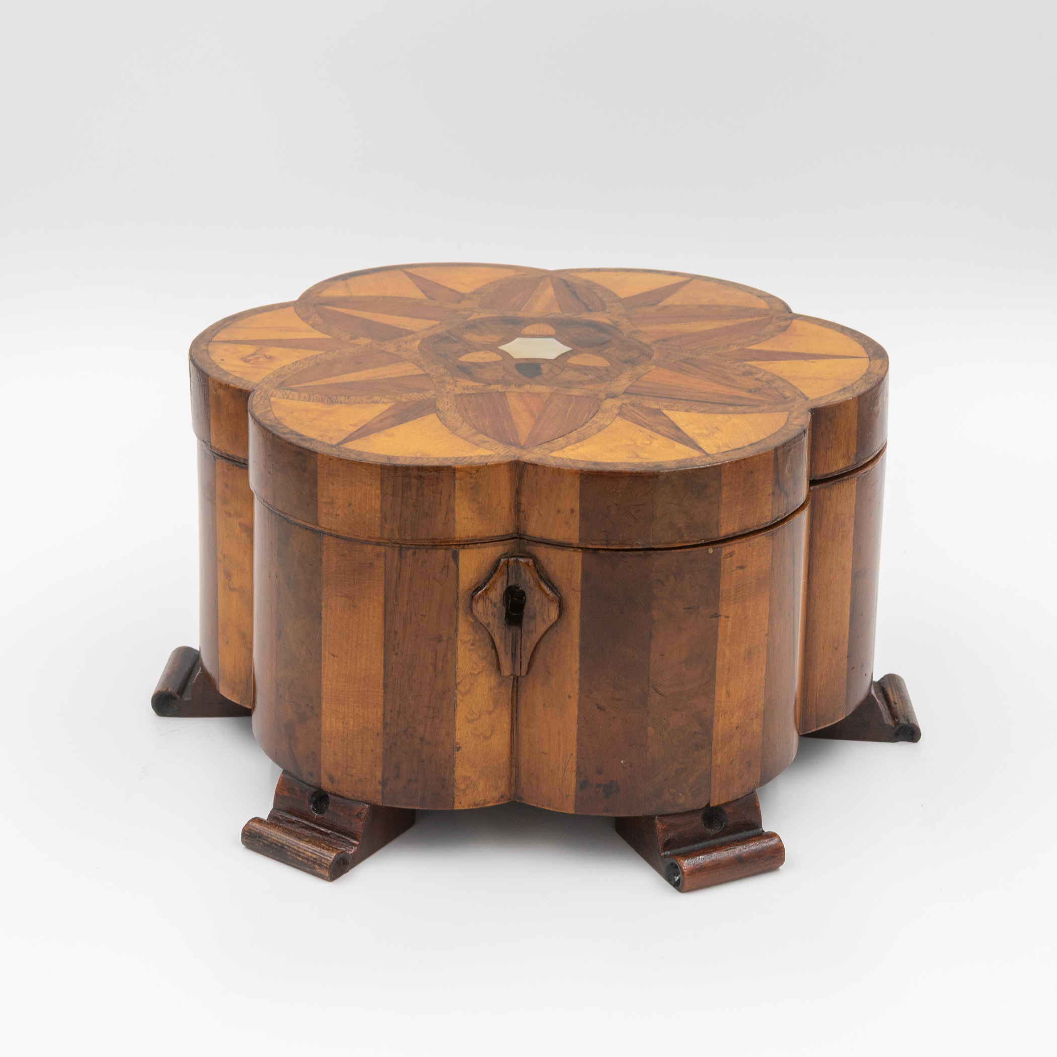 English specimen wood lotus form marquetry box satinwood walnut rosewood circa 1850