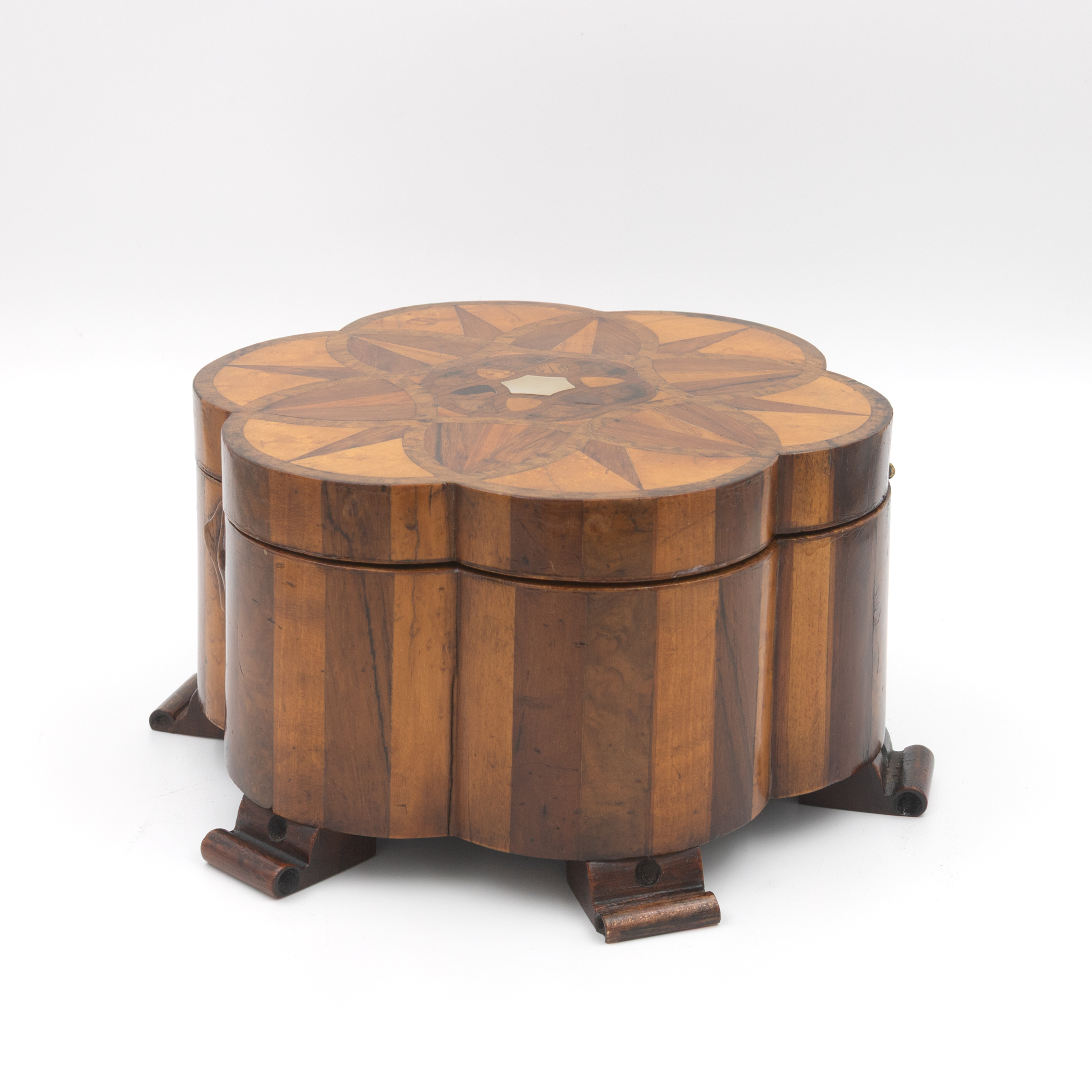 Specimen wood lotus flower box, three-quarter view, satinwood walnut rosewood staves, scroll bracket feet
