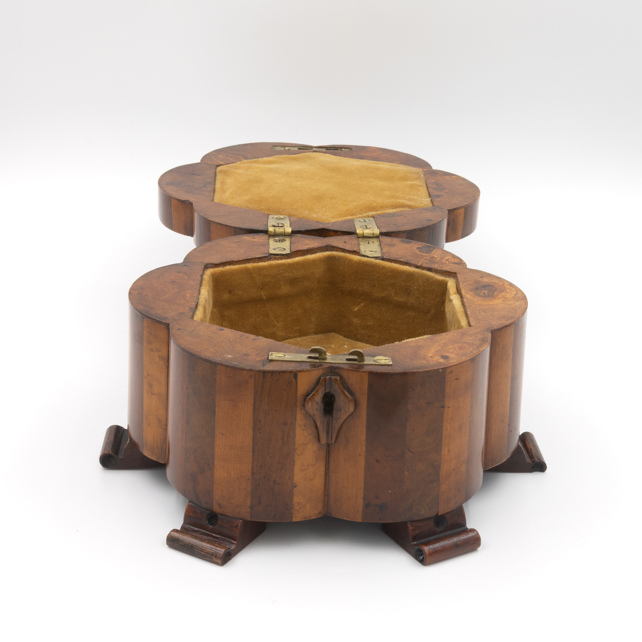 Open lotus flower specimen wood box interior, gold velvet lining, hexagonal form, brass hardware, scroll feet