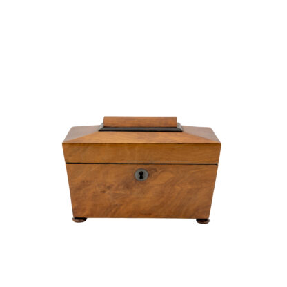 Rare Collection of Six Early English Boxes in Rosewood, Coromandel