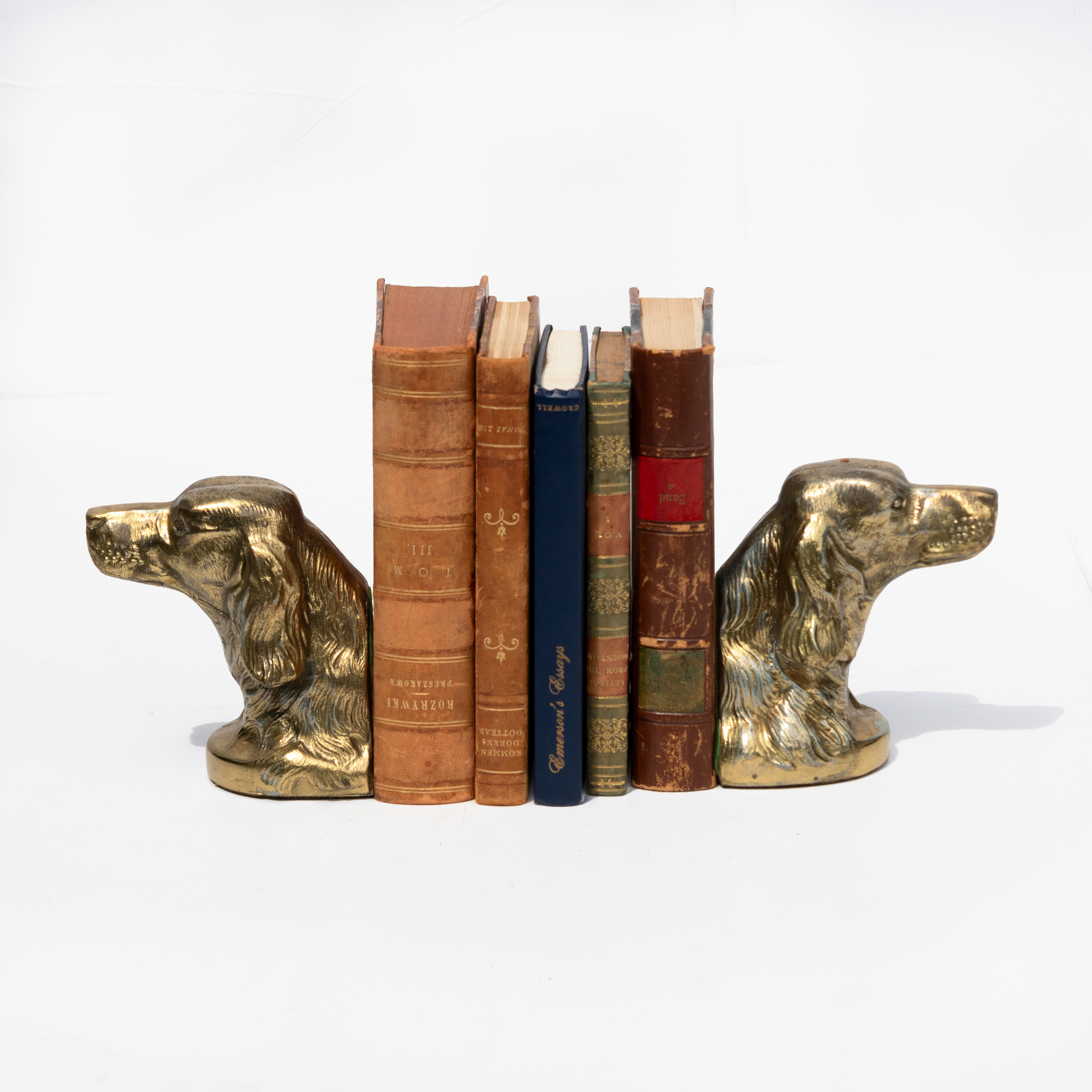 Pair of brass spaniel bookends supporting antique books with the dog heads facing outward